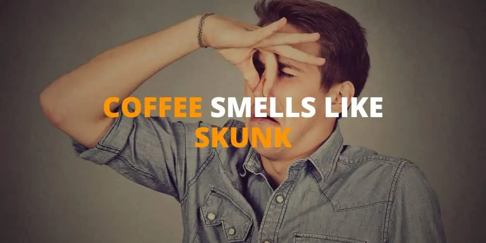 coffee smells like skunk