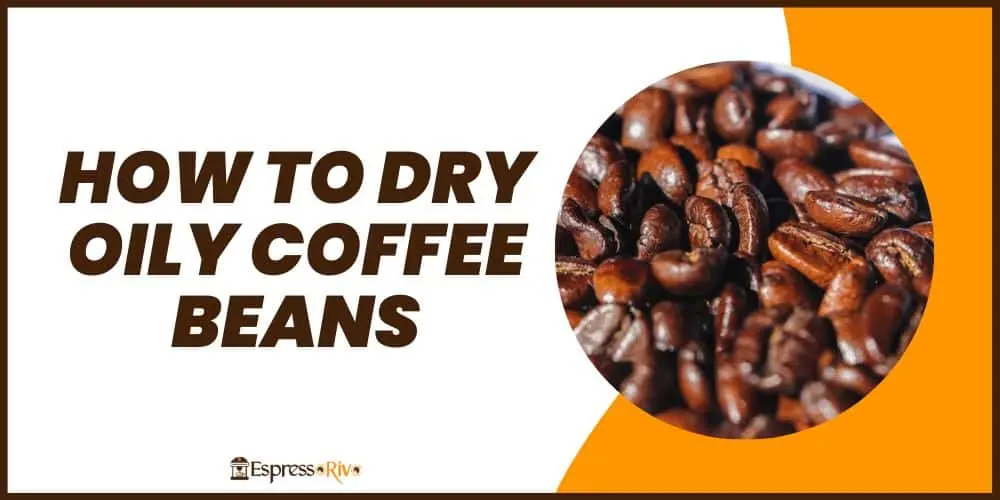how to dry oily coffee beans