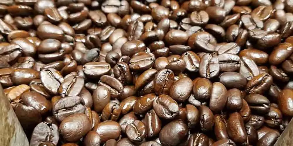 jamaican coffee beans
