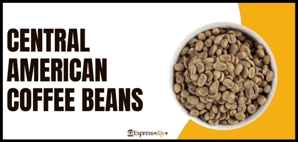 central american coffee beans