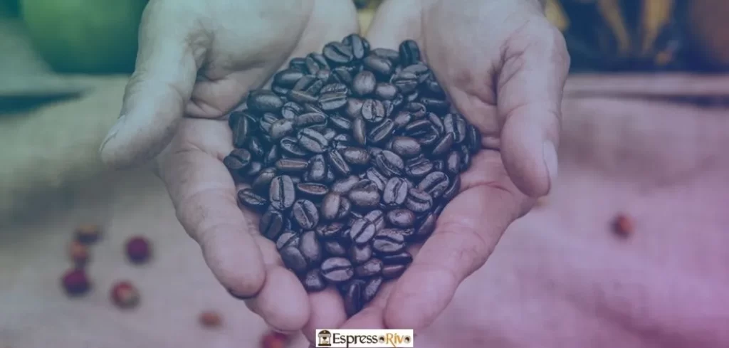 Certification and Traceability of Hawaiian Coffee Beans