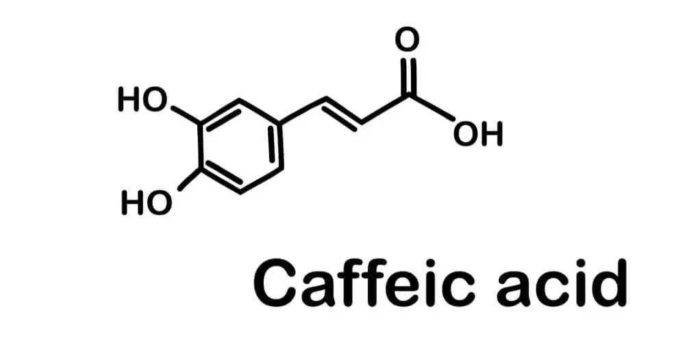 Coffee Acidity