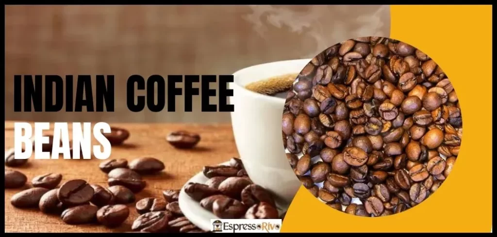 indian coffee beans