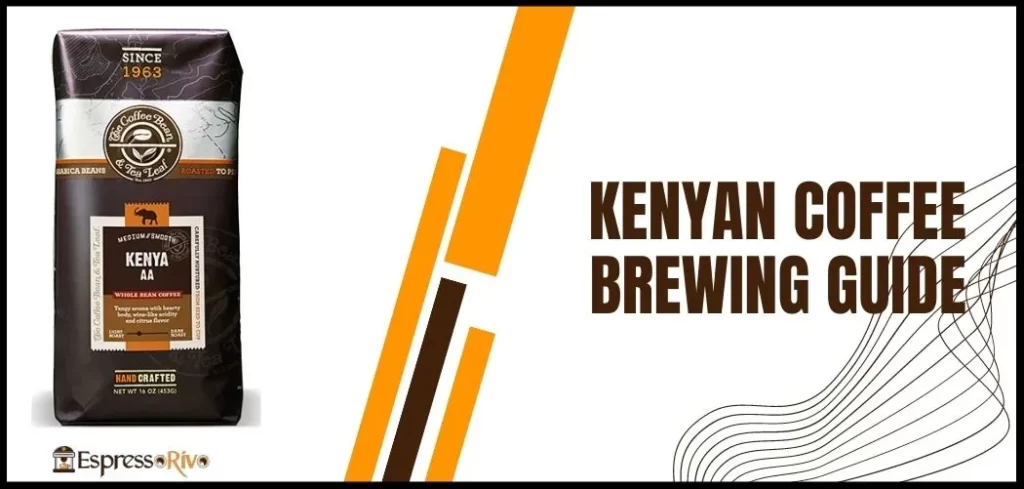 kenyan coffee brewing guide