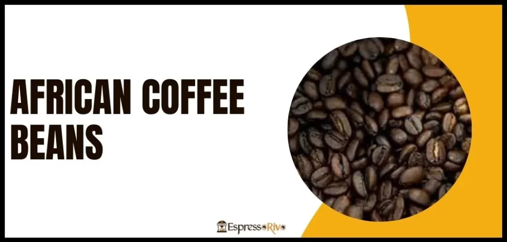 african coffee beans