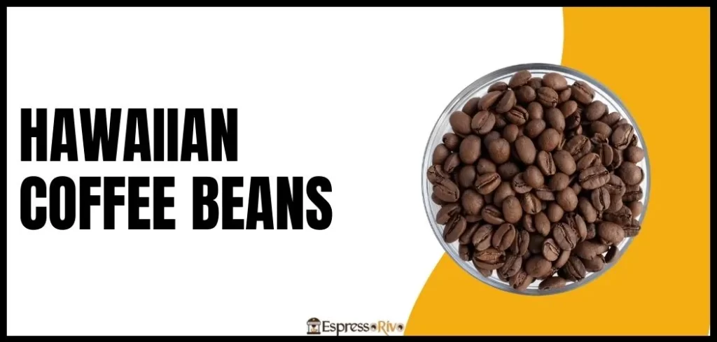 hawaiian coffee beans