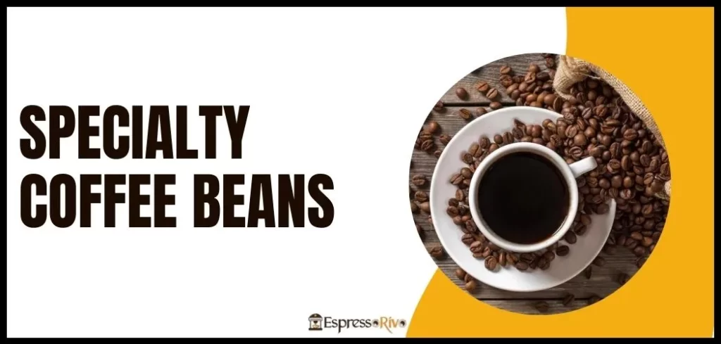 specialty coffee beans