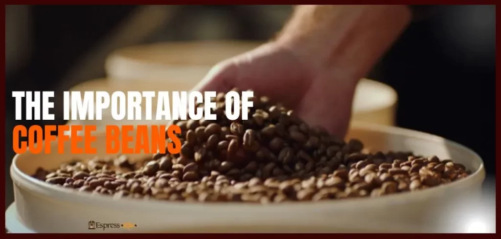 The Importance of Coffee Beans