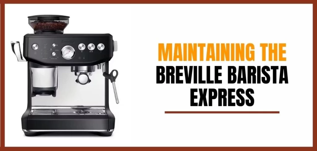 maintaining the breville barista express