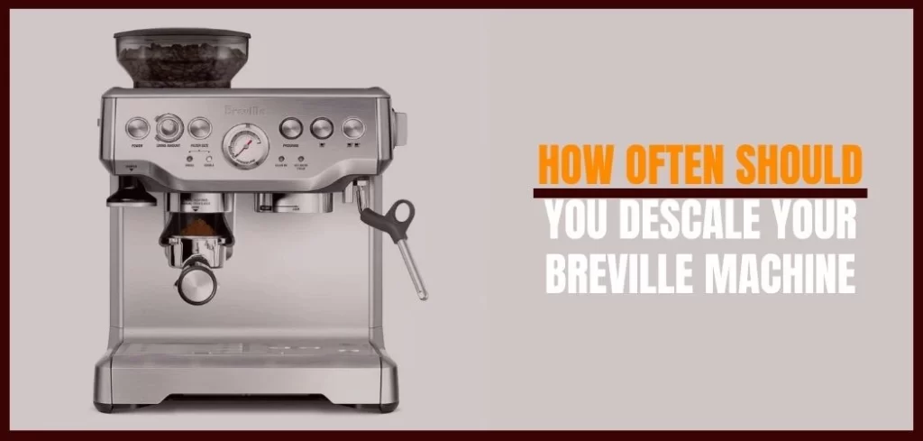 How Often Should You Descale Your Breville Machine?