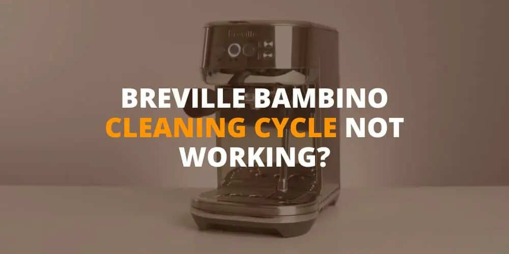 breville bambino cleaning cycle not working