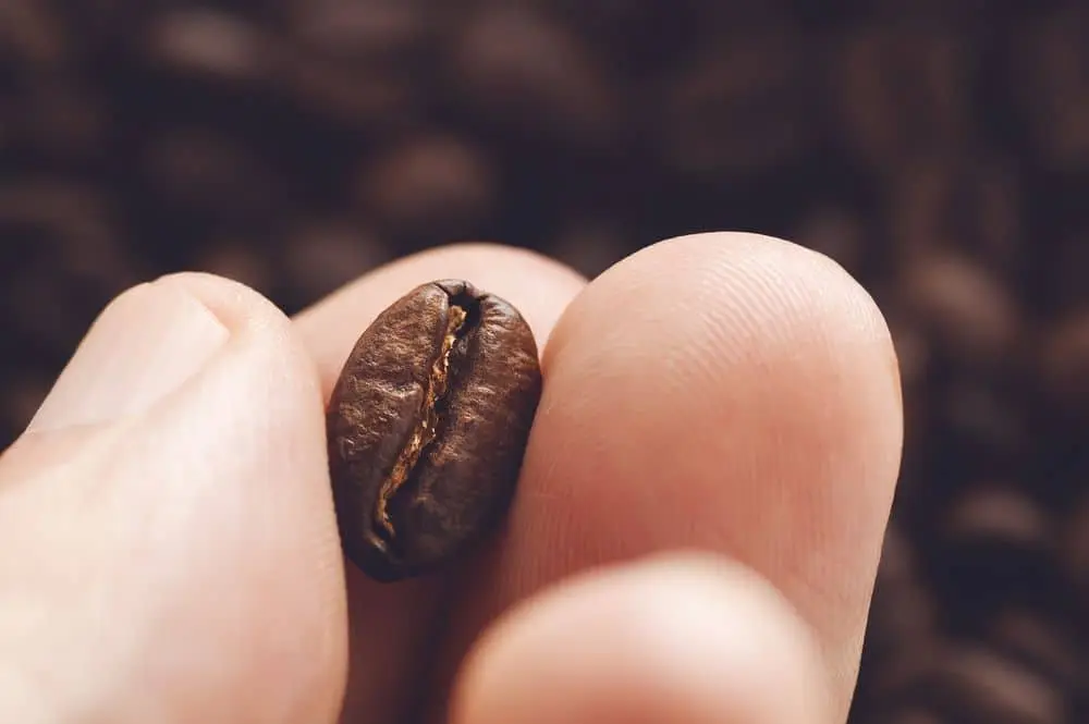Right Coffee Beans