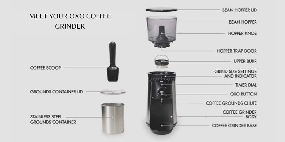 Understanding OXO Coffee Grinder