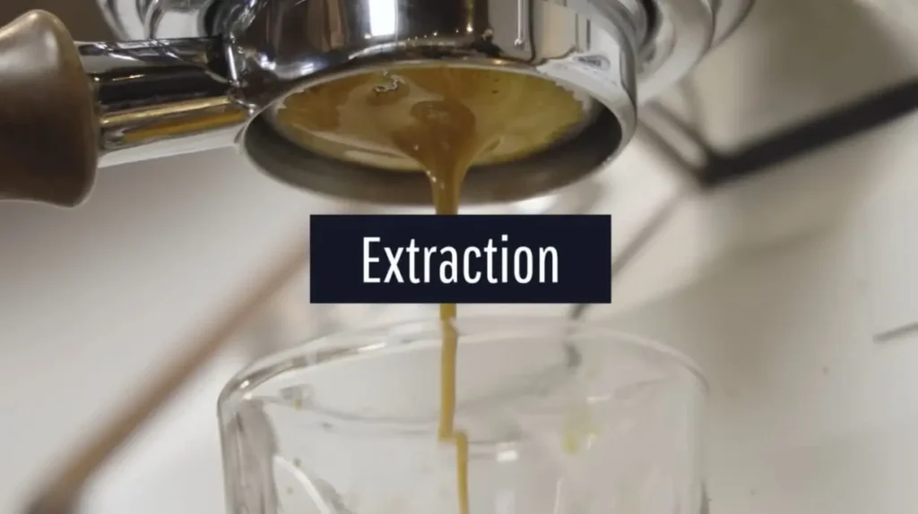 Impact On Espresso Extraction