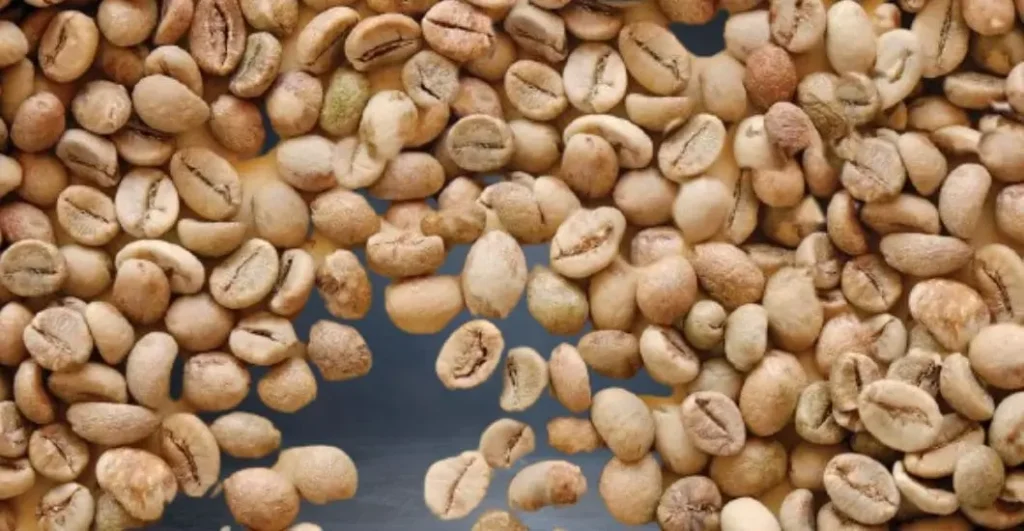 White Coffee beans