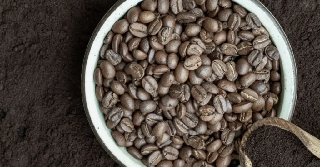 what to do with old coffee beans